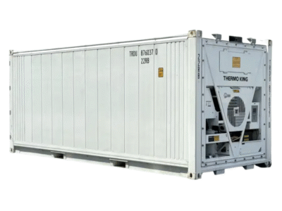 20ft New Refrigerated Shipping Container